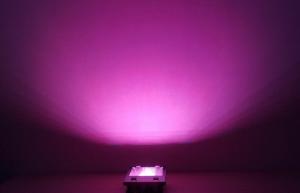 Wholesale Super bright DMX512 100W RGB LED flood lights outdoor for garden , Park from china suppliers