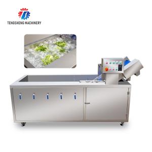 Buy cheap 185KG 2.6KW Ozone disinfection vegetable washing machine Commercial units school from wholesalers