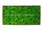Environmental-Friendly Silk PE Faux Fake Moss Wall Art Panels 450g/Set