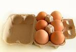 Recycling Waste Paper Egg Tray Manufacturing Machine / Pulp Molding Equipment