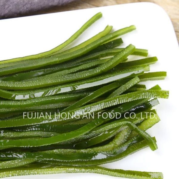 Nutritious Green Kombu Kelp Slices Sea Vegetable laminaria japonica Rich Vitamins