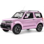 High Performance 4-Seater Fast Charging Electric Car HRS1 Rang Up To 305