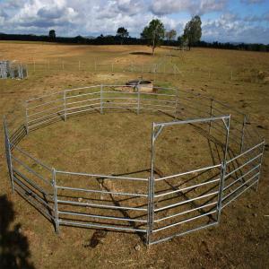 Wholesale 20Panel+1Gate Heavy Duty Galvanized Livestock Yard Fence Horse Round Yard panel from china suppliers