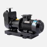 150 PSI Maximum Pressure Magnetic Sealless Centrifugal Pump With IP55 Motor
