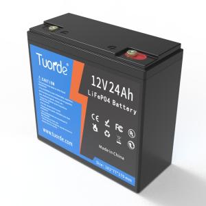 Wholesale 12V 24Ah Lead Acid Replacement Battery AGV Rechargeable 3000 Cycle OEM ODM from china suppliers