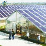 Strong Metal Frame Greenhouse Automatic Systems Solar Energy Green House