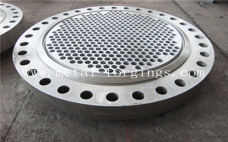 Max3000mm Stainless Steel Or Carbon Steel Or Alloy Steel Forged Disc