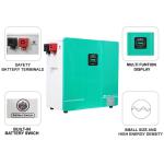 Customized Lithium Ion Battery Pack LifePo4 24V 48V 200Ah Powerwall battery For