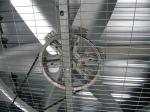 industry greenhouse pig house poultry house wall mounted metal belt driven