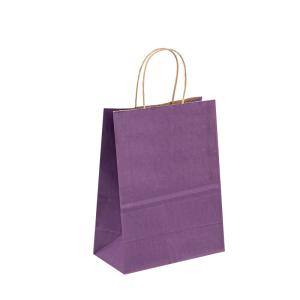 Wholesale Recyclable Paper Bags With Paper Twist Rope Handle Thickness 100gsm - 150gsm from china suppliers