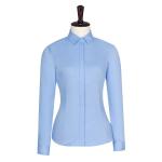Slim Fit Bamboo Fiber Formal Shirt For Women Women's Blouses Shirts With Stand
