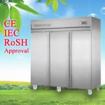 Custom 3 doors Commercial Upright Freezer Energy Efficiency