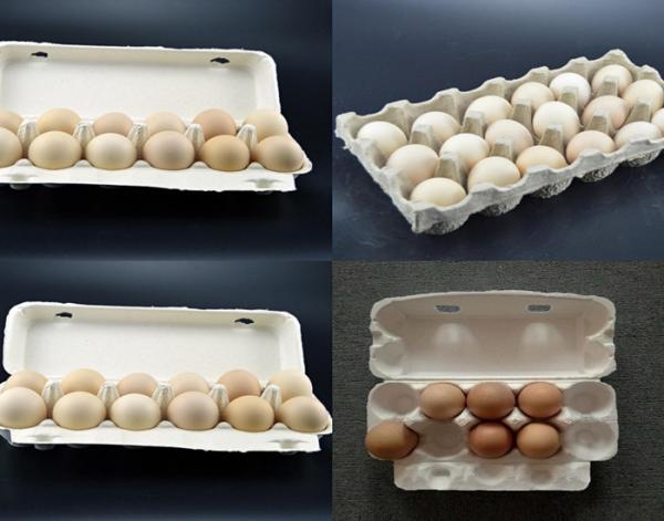 pulp moulding small egg tray machine for home business with 2 years warranty