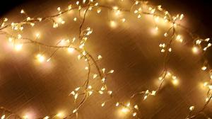 Wholesale LED Indoor String Lights Warm White Plug In/Battery Powered Christmas Lights for Wedding Party Indoor Outdoor Decorations from china suppliers
