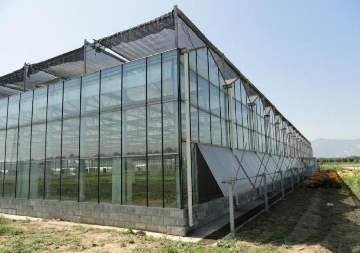 10.8m Cucumber Glass Greenhouse Intelligent Automatic Control