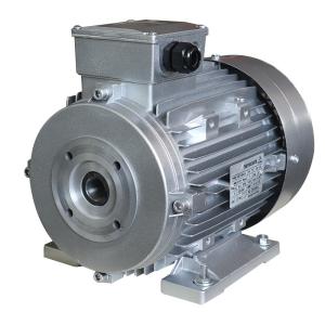 Wholesale 24mm Shaft Asynchronous Induction Motor AR Interpump For Pressure Washers from china suppliers