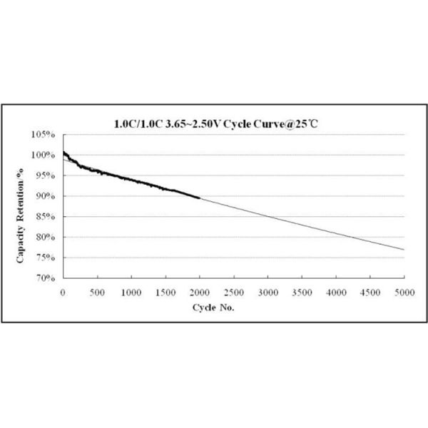 CTS High Performance Prismatic LiFePO4 Cell 6000 Cycle Life 100Ah 150Ah 200Ah 280Ah 340Ah