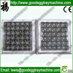Plastic egg tray mold