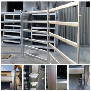 Wholesale 1800mm x 2100mm cattle panels oval pipes 30mm x 60mm ,40mm x 80mm from china suppliers