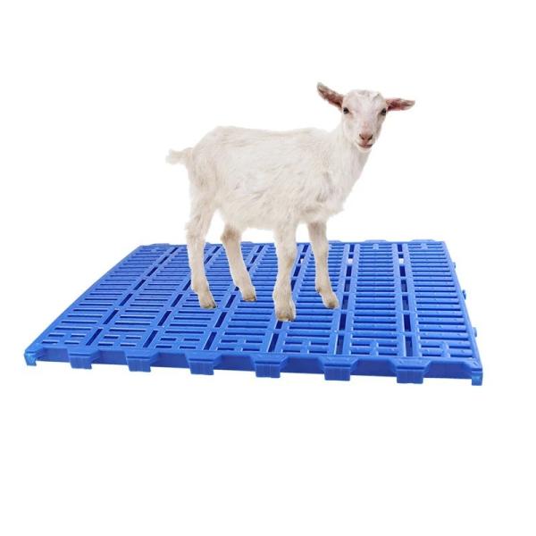 300kg Bearing Plastic Slatted Floor With High UV Resistance And Washable