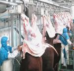 Sterilization Food Grade Slaughterhouse Cow Machine High Efficiency Cow