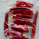 Red Jinta Chilli Pepper Fruity Smoky Aroma 8%-12% Moisture 10-15cm