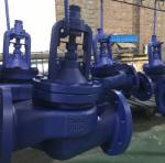 GG25 GGG40 cast iron bellows globe valve