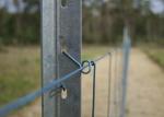 1.98kg/m Australia Standard Painting Steel Star Pickets