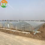 Ventilation Vents for 150/200micro PE Film Covered Greenhouse on Poultry Farm