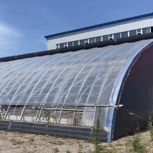 Wholesale Arched Roof Greenhouse The Ultimate Sunlight Solution for Tomato and Cucumber Farming from china suppliers