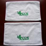 China Factory Professional Customized 100% Cotton Absorbent Embroidery Towel