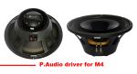 PA Sound Equipment 480W 3" + 15" Plywood Coaxial Stage Monitor For Living Event