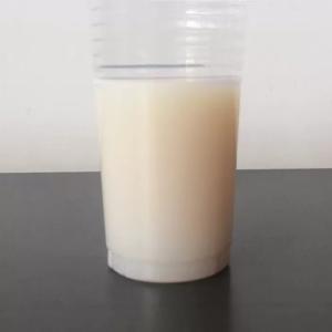 Wholesale Translucent Milky White Acrylic Emulsion Using In OPV from china suppliers