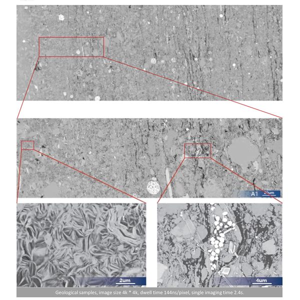 OPTO-EDU A63.7235 High-Throughput Field Emission Scanning Electron Microscope 12KV 600000x
