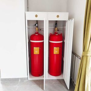 Wholesale FM200 Gas Suppression System for Commercial Buildings from china suppliers