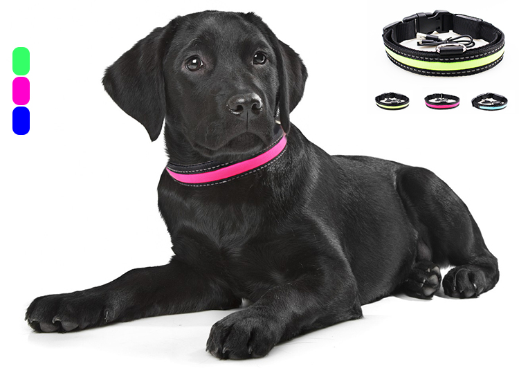 C916 Waterproof High Bright USB Rechargeable Glowing LED Pet Dog Collar For Night Safety