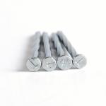 Galvanized Twisted Shank Nails Box Packing Steel Twisted Concrete Nails