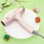 Custom Lightweight High Speed Hair Dryer 420g 110000rpm/min Speed