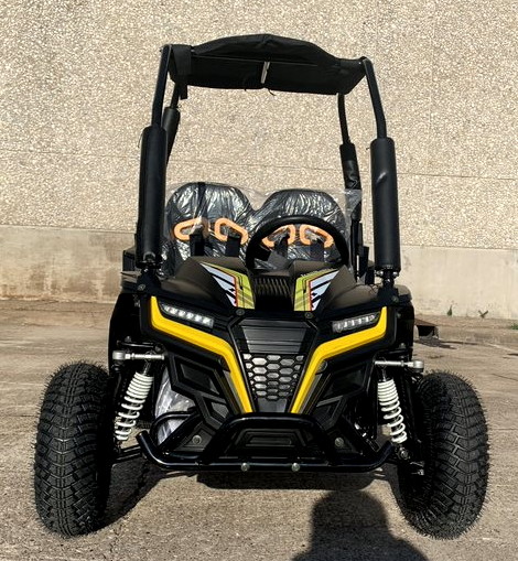 200cc Mini Go Kart Buggy Fully Automatic With Reverse