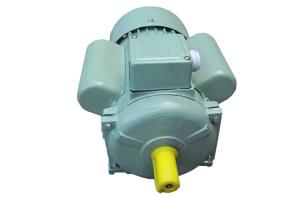 Wholesale Single Phase Induction Motor YC Series For Family Workshops 0.75 KW 1 HZ from china suppliers