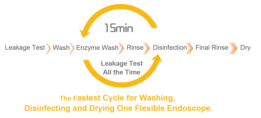 Automatic flexible endoscope washer / endoscope disinfector