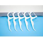 disposable hotel travel home use tooth cleaning Dental Floss Toothpick Teeth