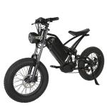 Off-Road Electric Fat Tire Bike Rear Hub Motor 20" Wheel Size for Exciting