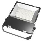 AC 200-300V Warranty 3-5 years Driverless LED Flood light