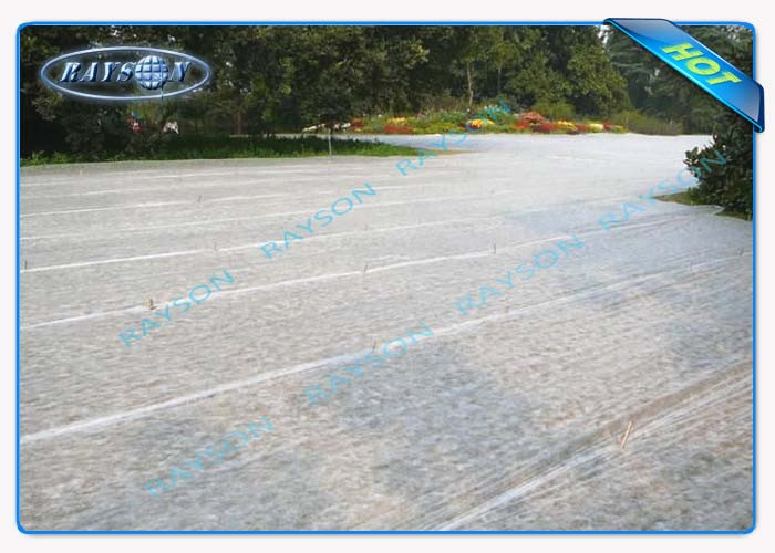 Durable Super Wide Agriculture Non Woven Cover For Ginseng Planting