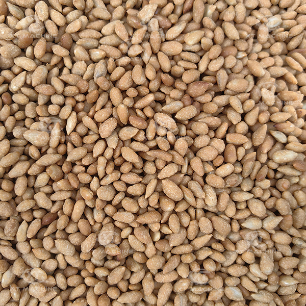 600-800kg/h PLC Control Peanut Coating Machine for Uniform Quality and High Production Efficiency