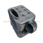 Sinotruk HOWO Truck Parts Oil Bass Filter Wg9725190055 GS Certified for