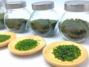 Wholesale Crispy Ulva Lactuca Powder Dry Aonori Powder Dried Green Seaweed Powder Rich In Minerals And Vitamins from china suppliers
