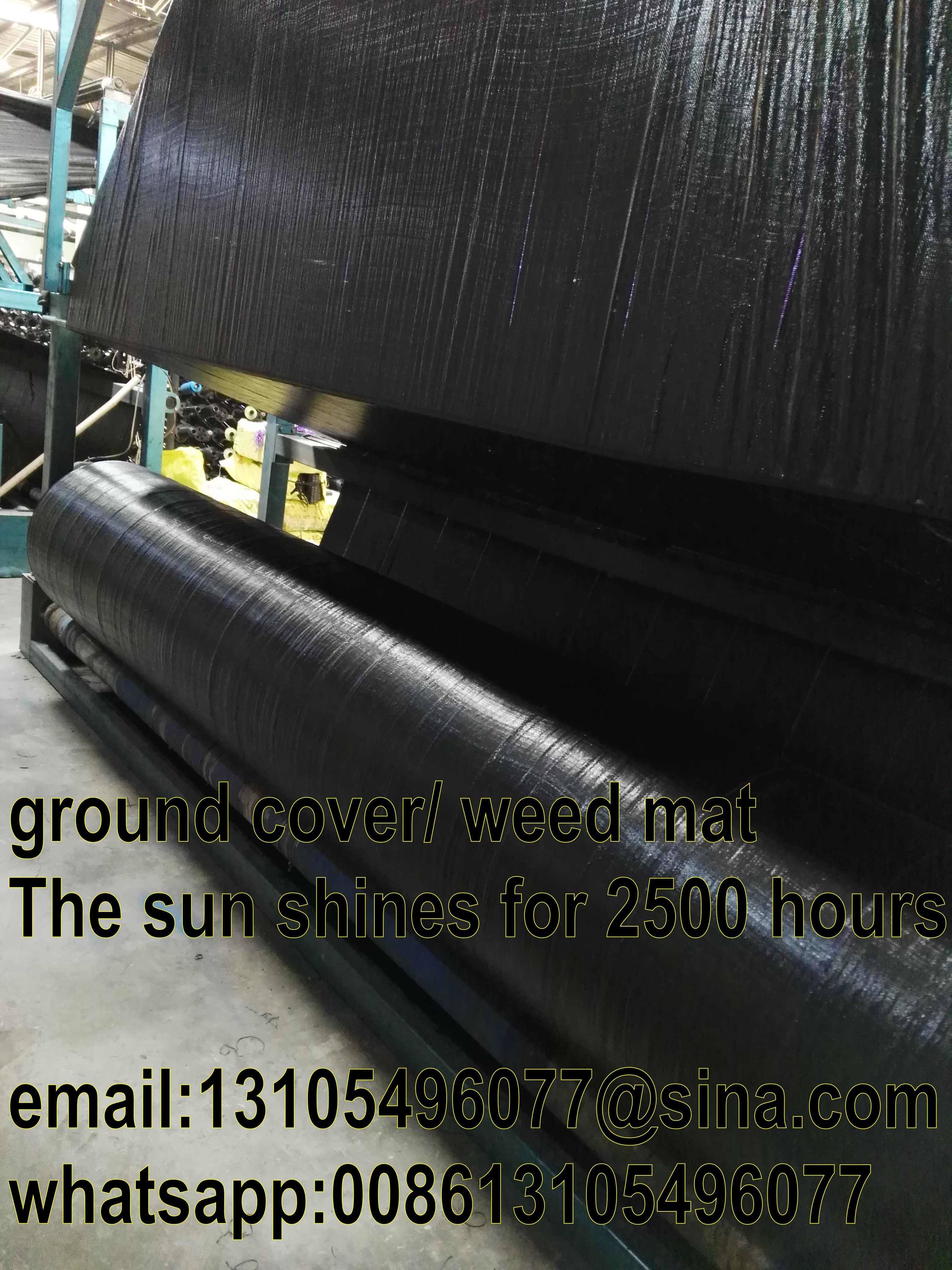 Agricultural pp woven weed mat/weed barrier mat/all new material