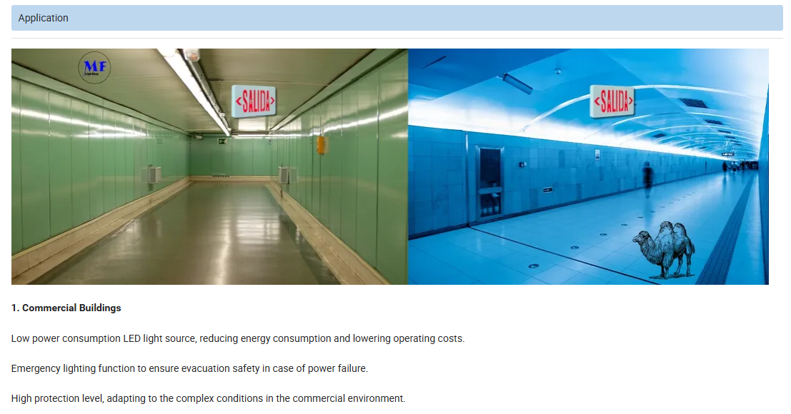 Emergency Exit Sign Lights IP43 Certified 3W LED 2h Backup Waterproof Fire-Resista Photoluminescent Factory School for Indoor Commercial Buildings